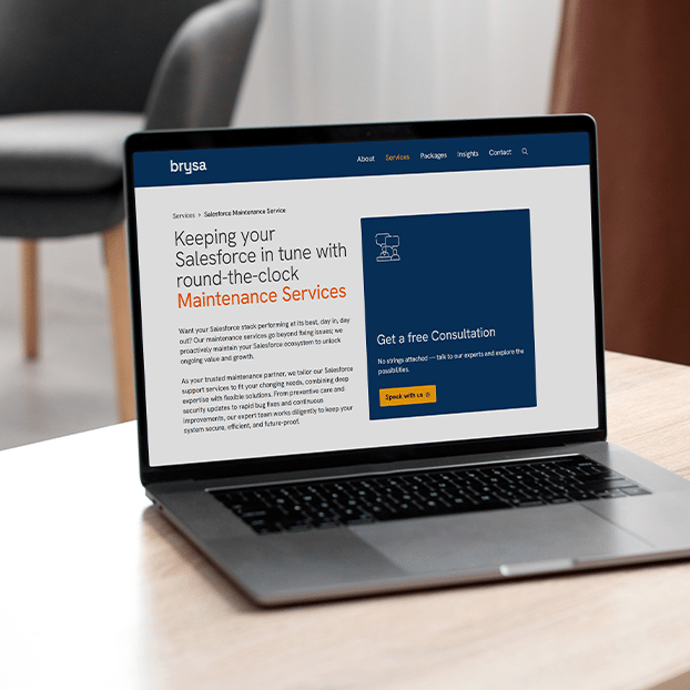 Salesforce Maintenance Service